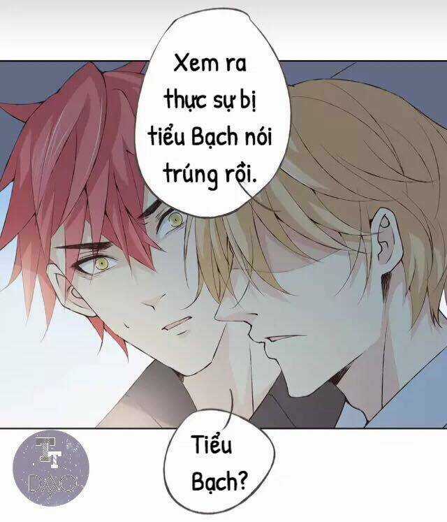 Tôi Không Phải Đa Nhân Cách Chapter 35 trang 9