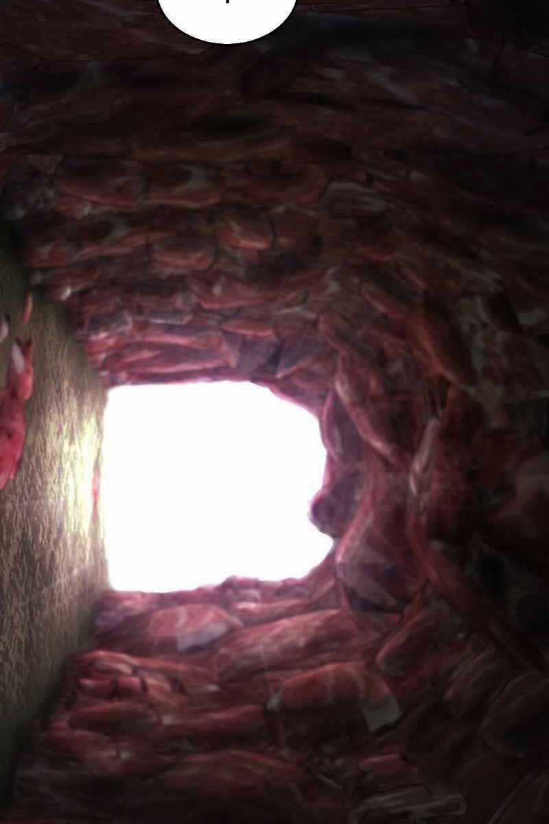 Tôi Không Phải Là Hồi Quy Giả Chapter 22 trang 16