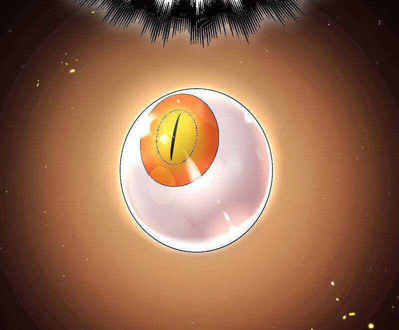 Tôi Không Phải Là Hồi Quy Giả Chapter 26 trang 100