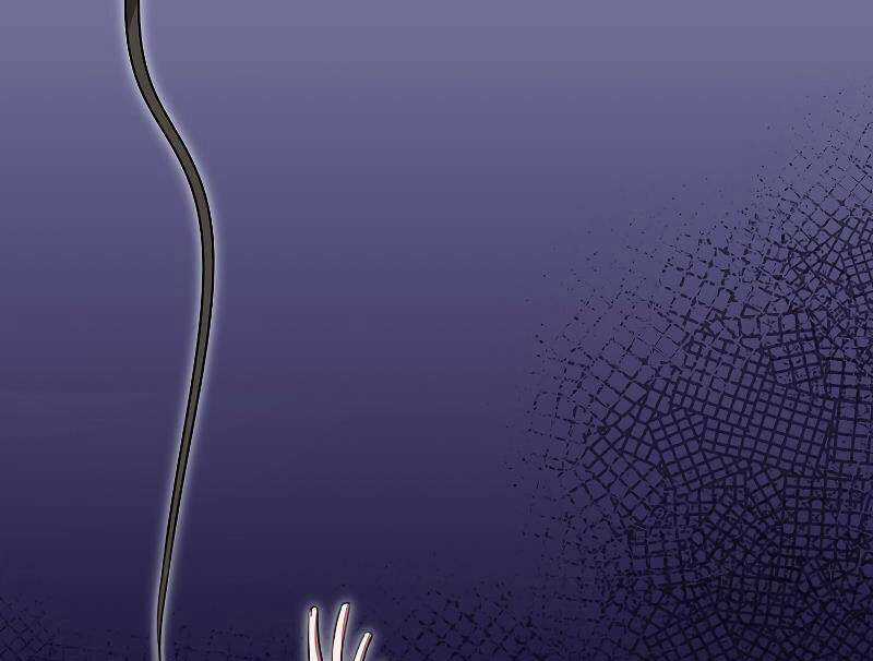 Tôi Không Phải Là Hồi Quy Giả Chapter 26 trang 129