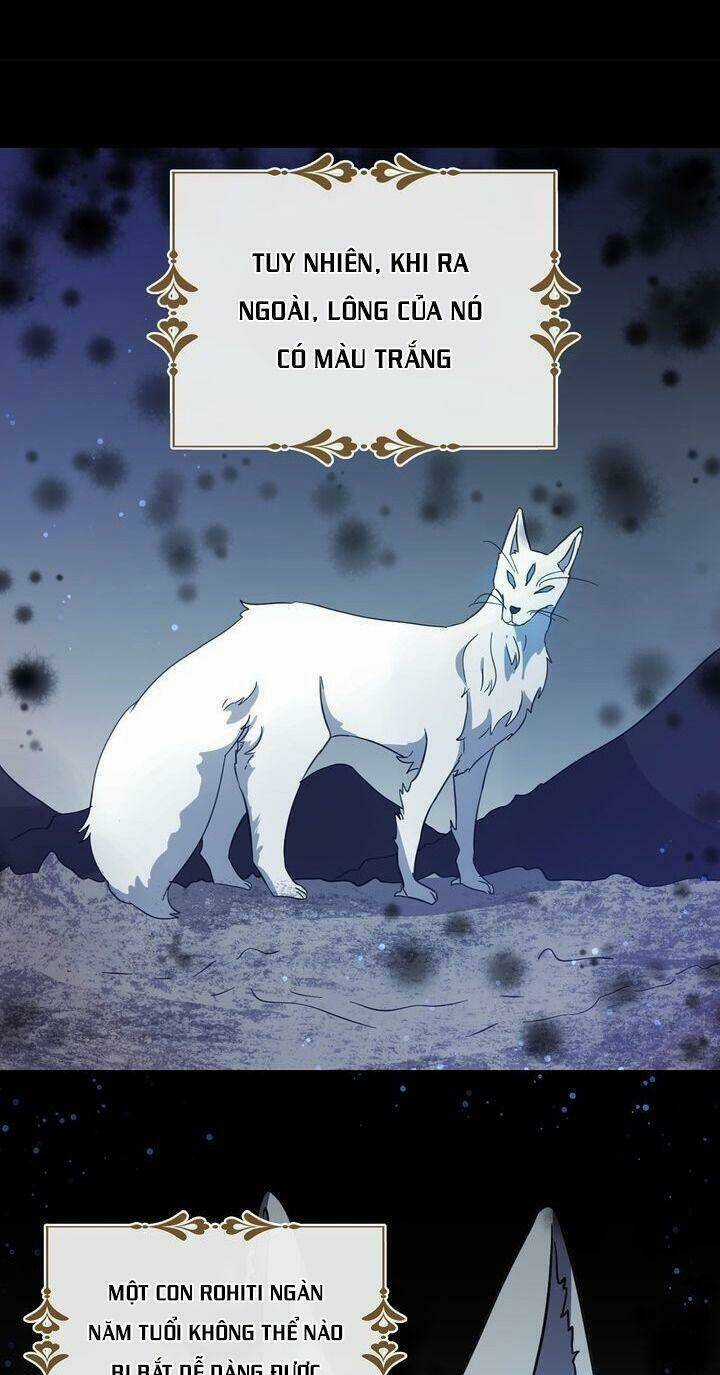 Tôi Là Bạn Gái Cũ Của Một Người Lính Chapter 24 trang 31