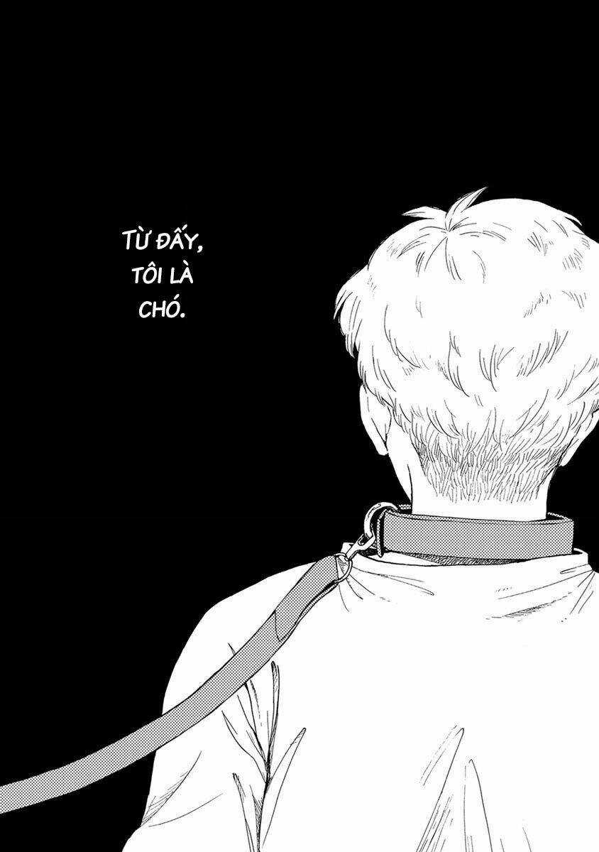 Tôi Là Chó Chapter 7 trang 35