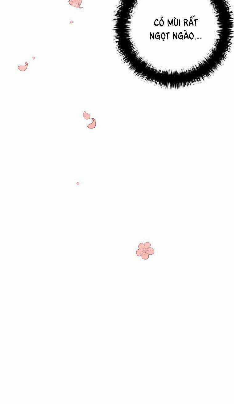 Tôi Là Con Gái Của Gia Đình Này! Chapter 144 trang 38