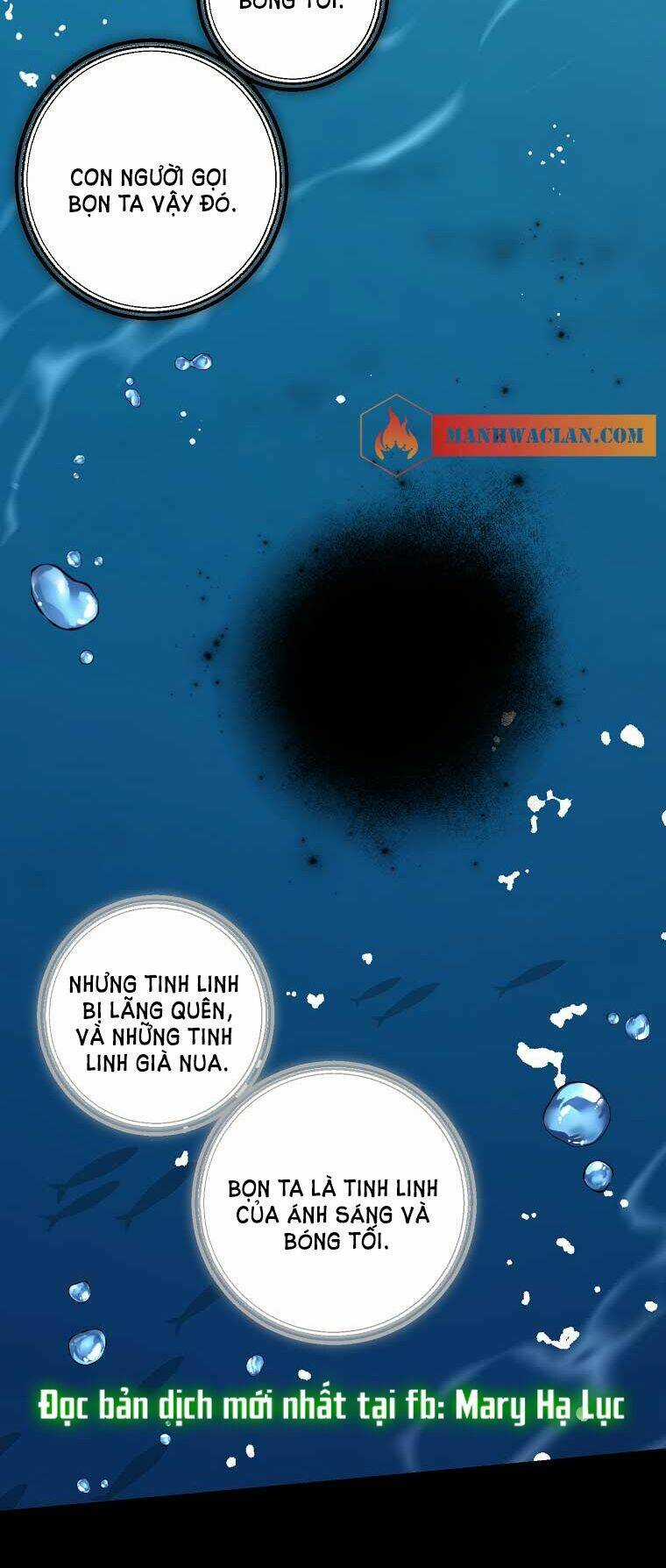 Tôi Là Con Gái Của Gia Đình Này! Chapter 148 trang 13