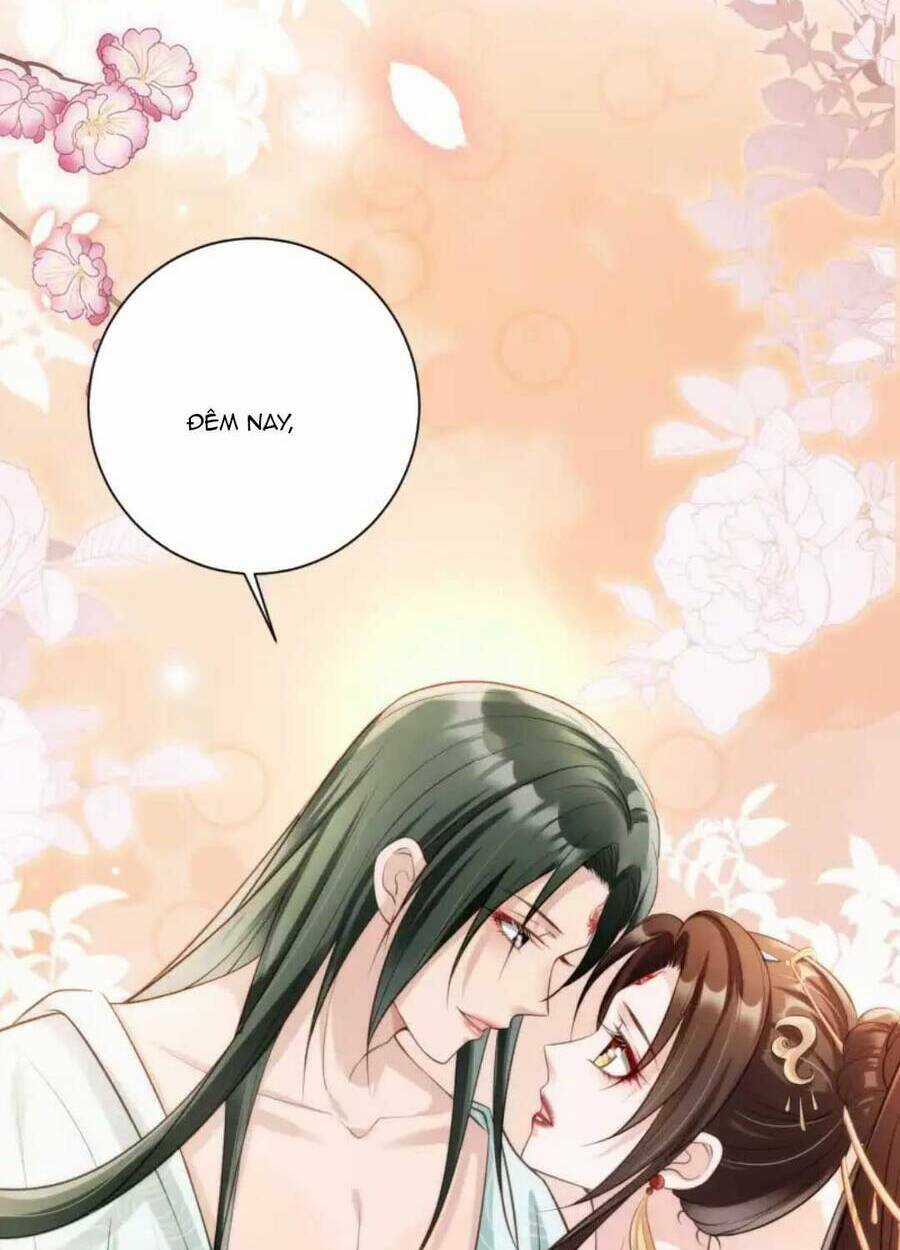 Tôi Là Đệ Nhất Hắc Nguyệt Quang Của Tu Chân Giới Chapter 11 trang 65