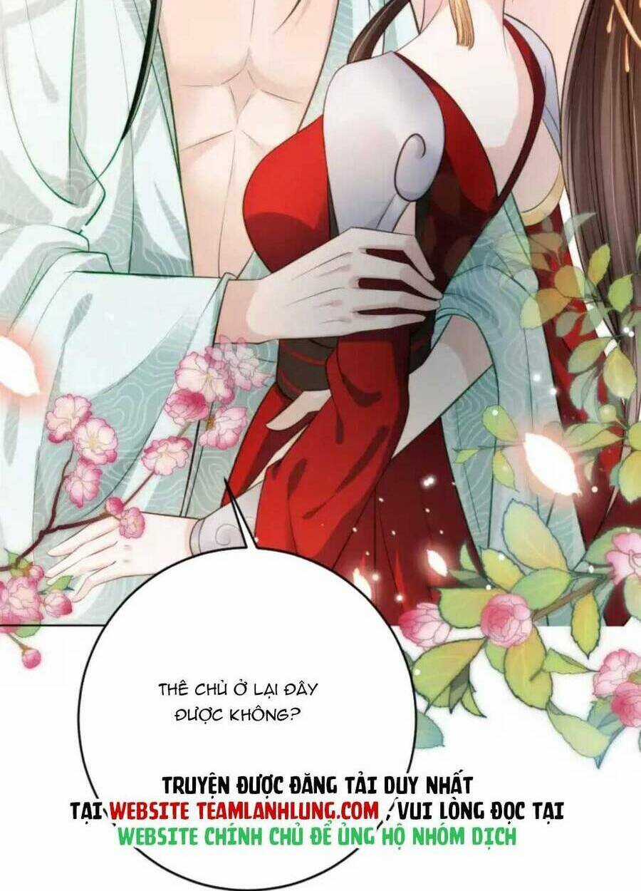 Tôi Là Đệ Nhất Hắc Nguyệt Quang Của Tu Chân Giới Chapter 11 trang 66