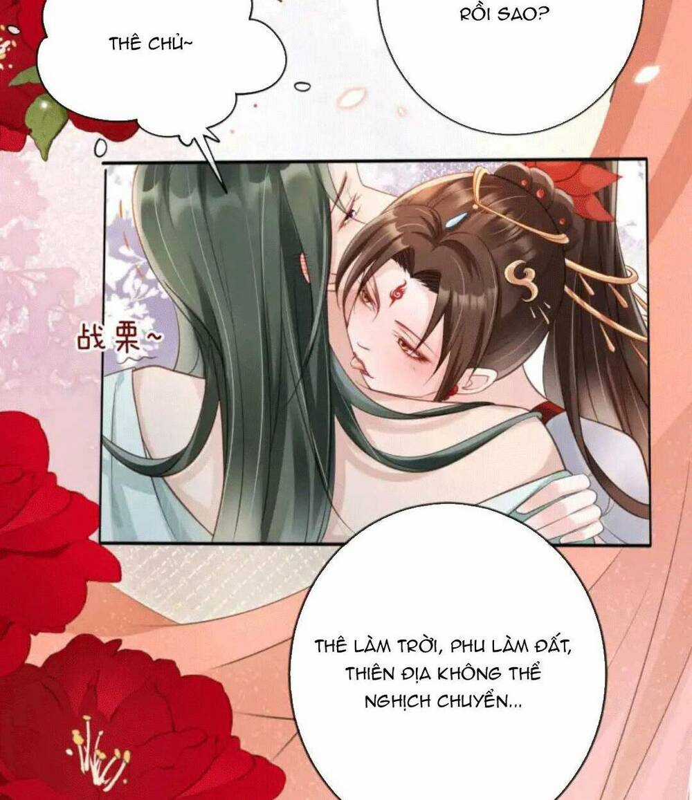 Tôi Là Đệ Nhất Hắc Nguyệt Quang Của Tu Chân Giới Chapter 12 trang 17