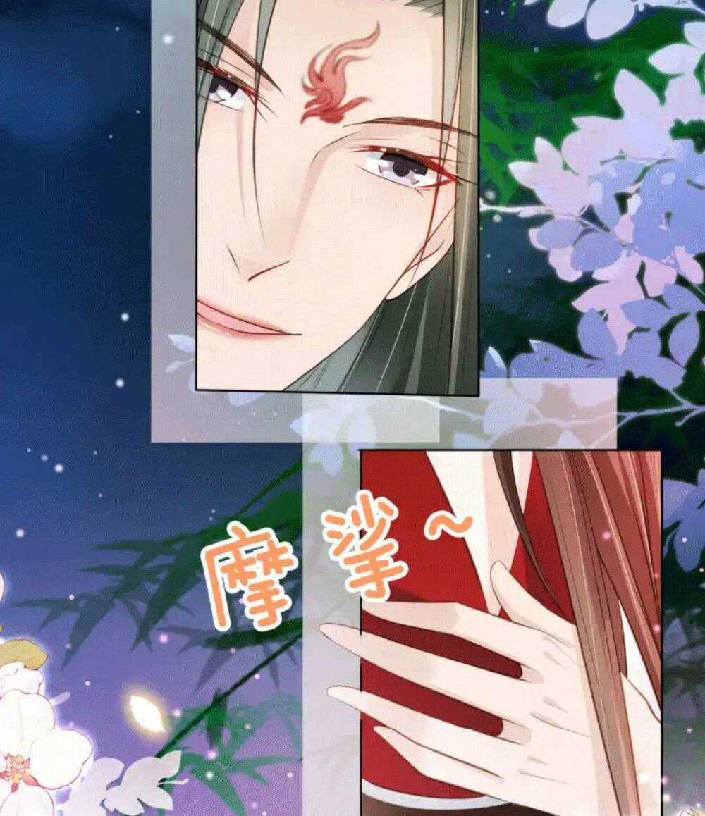 Tôi Là Đệ Nhất Hắc Nguyệt Quang Của Tu Chân Giới Chapter 12 trang 2