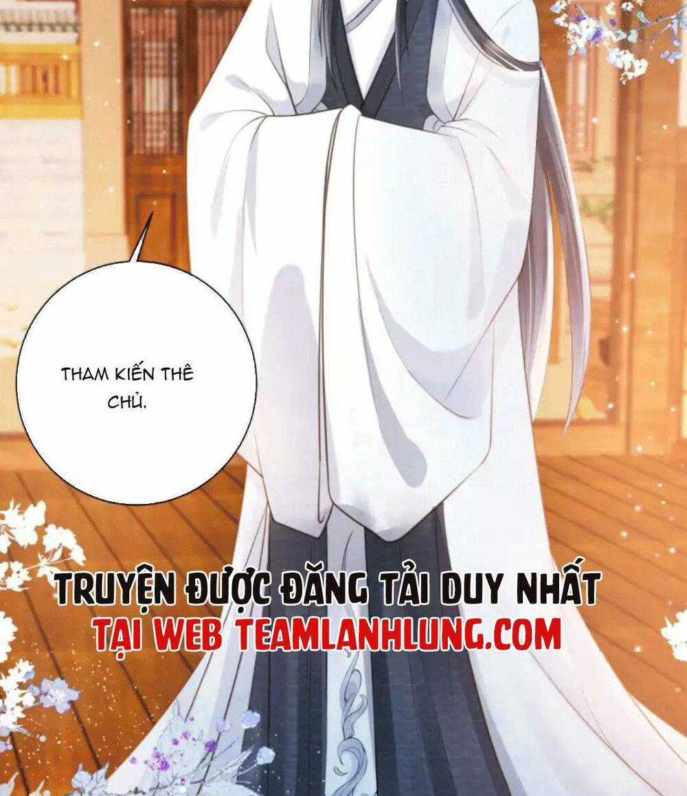 Tôi Là Đệ Nhất Hắc Nguyệt Quang Của Tu Chân Giới Chapter 12 trang 28