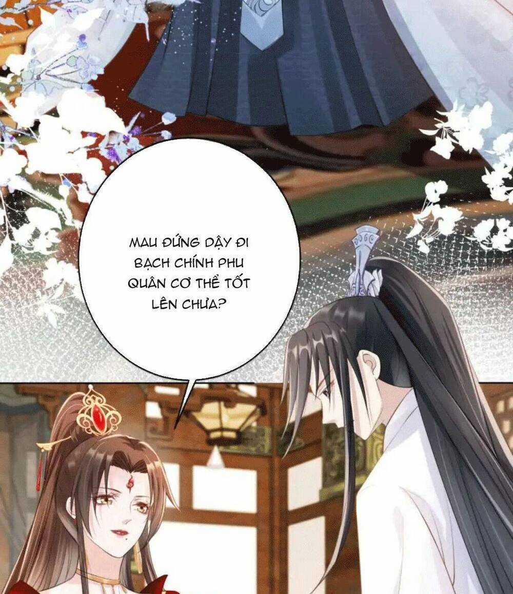 Tôi Là Đệ Nhất Hắc Nguyệt Quang Của Tu Chân Giới Chapter 12 trang 29