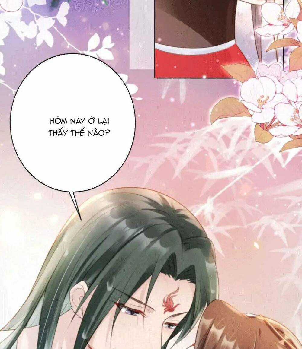 Tôi Là Đệ Nhất Hắc Nguyệt Quang Của Tu Chân Giới Chapter 12 trang 3