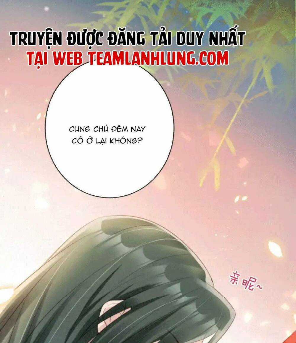 Tôi Là Đệ Nhất Hắc Nguyệt Quang Của Tu Chân Giới Chapter 12 trang 6