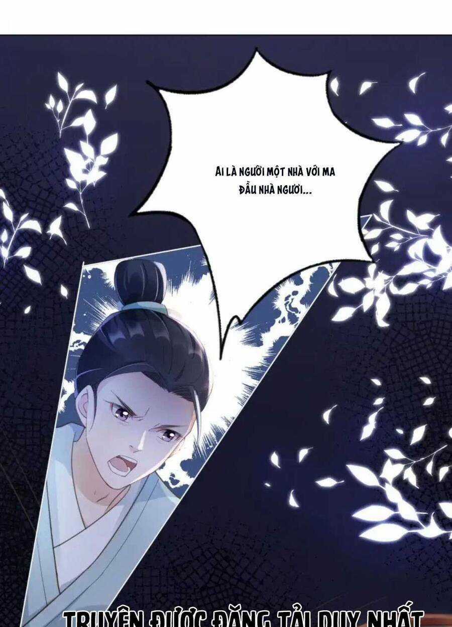 Tôi Là Đệ Nhất Hắc Nguyệt Quang Của Tu Chân Giới Chapter 14 trang 11