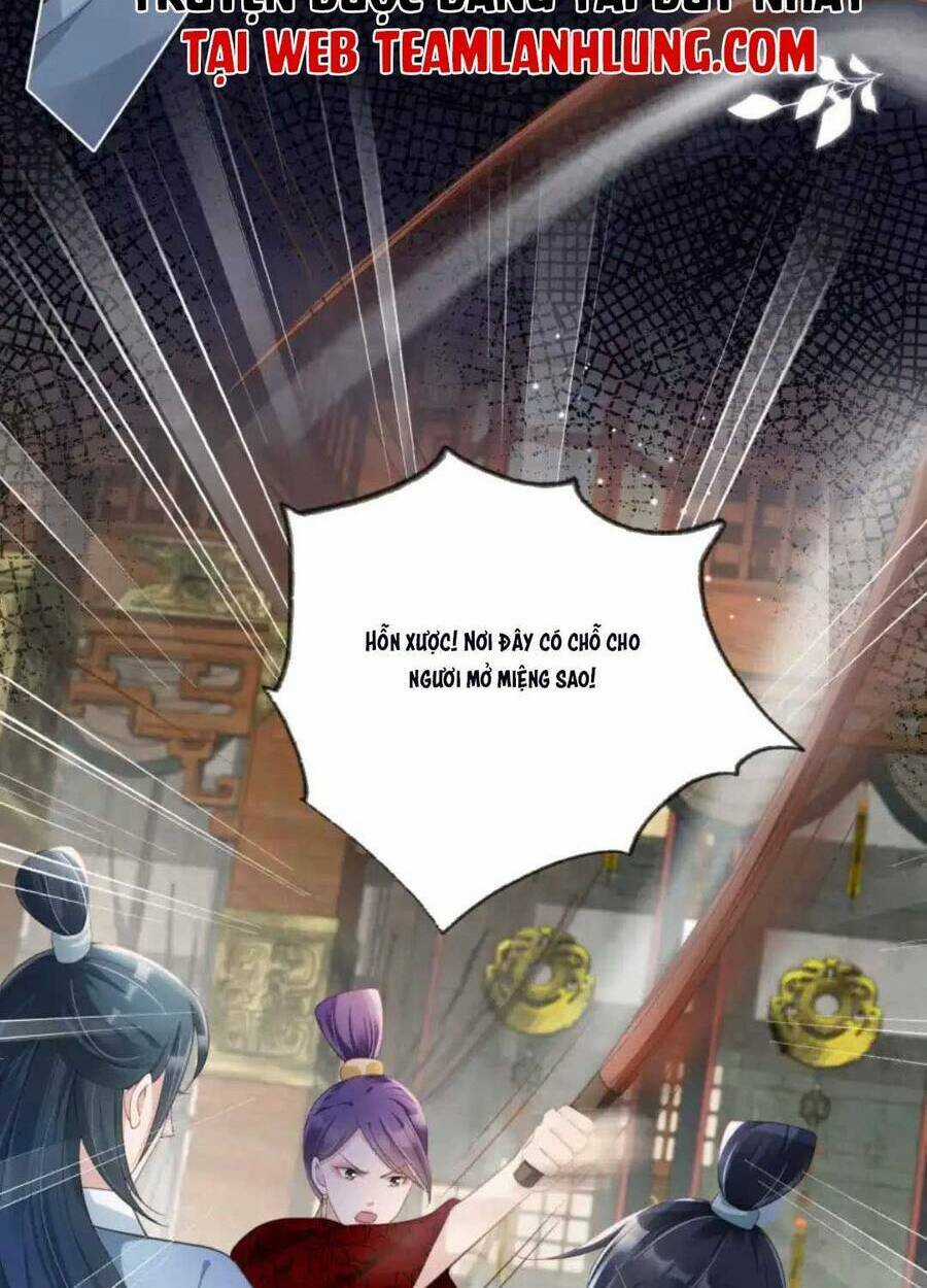 Tôi Là Đệ Nhất Hắc Nguyệt Quang Của Tu Chân Giới Chapter 14 trang 12