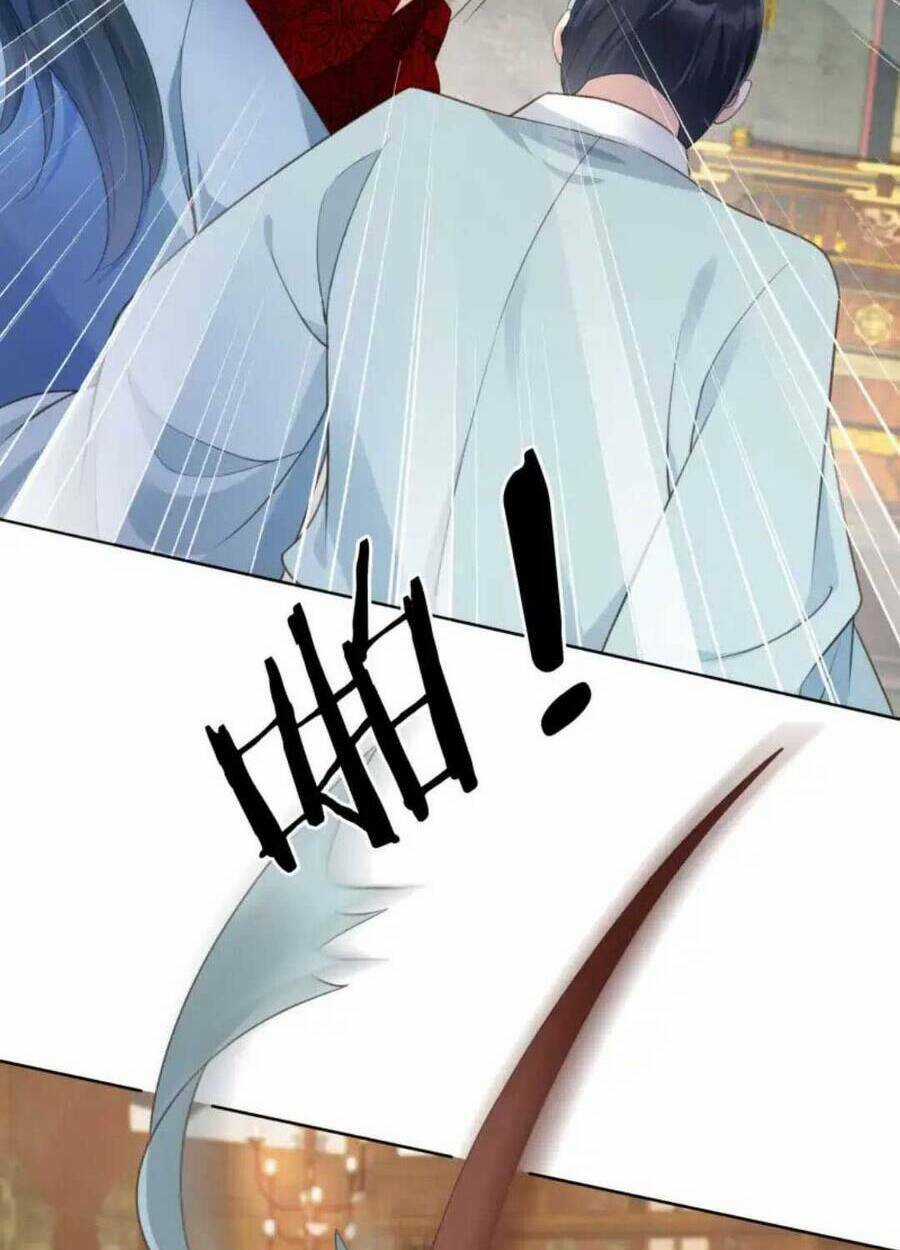 Tôi Là Đệ Nhất Hắc Nguyệt Quang Của Tu Chân Giới Chapter 14 trang 13