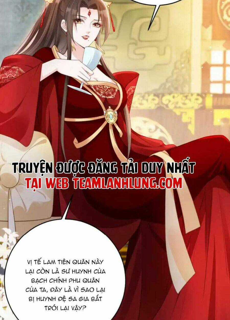 Tôi Là Đệ Nhất Hắc Nguyệt Quang Của Tu Chân Giới Chapter 14 trang 22