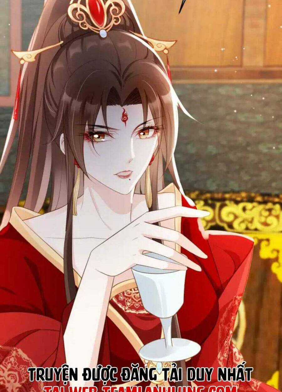 Tôi Là Đệ Nhất Hắc Nguyệt Quang Của Tu Chân Giới Chapter 14 trang 26