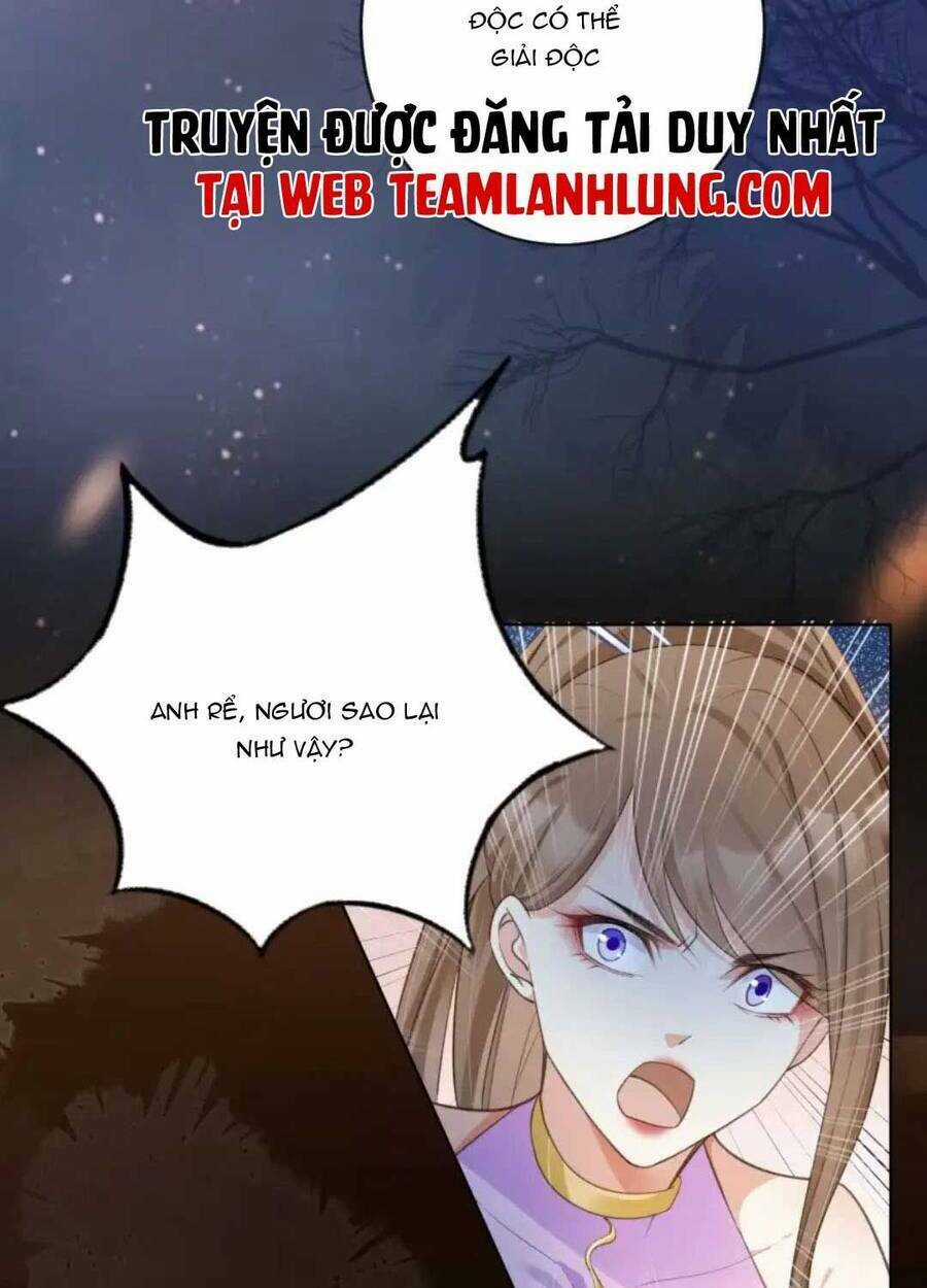 Tôi Là Đệ Nhất Hắc Nguyệt Quang Của Tu Chân Giới Chapter 16 trang 46