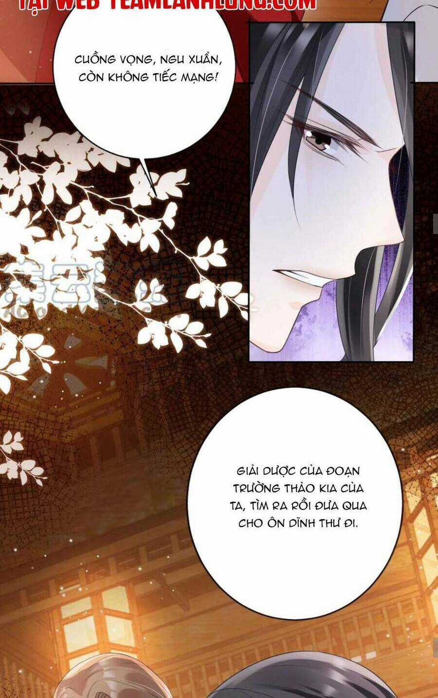 Tôi Là Đệ Nhất Hắc Nguyệt Quang Của Tu Chân Giới Chapter 18 trang 30