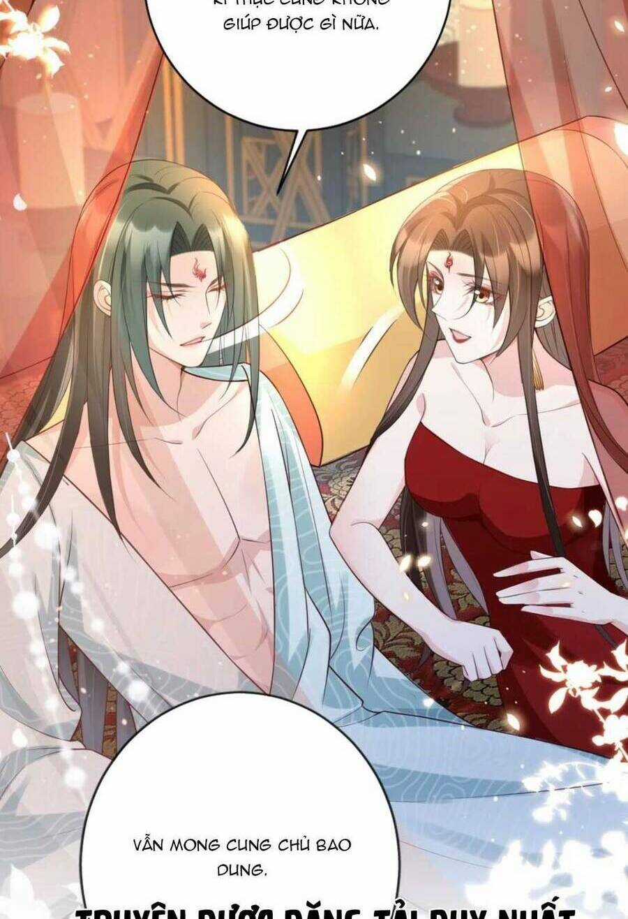 Tôi Là Đệ Nhất Hắc Nguyệt Quang Của Tu Chân Giới Chapter 19 trang 12