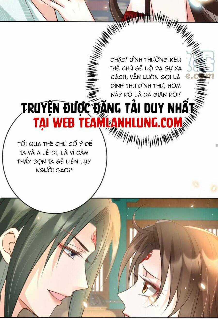 Tôi Là Đệ Nhất Hắc Nguyệt Quang Của Tu Chân Giới Chapter 19 trang 14