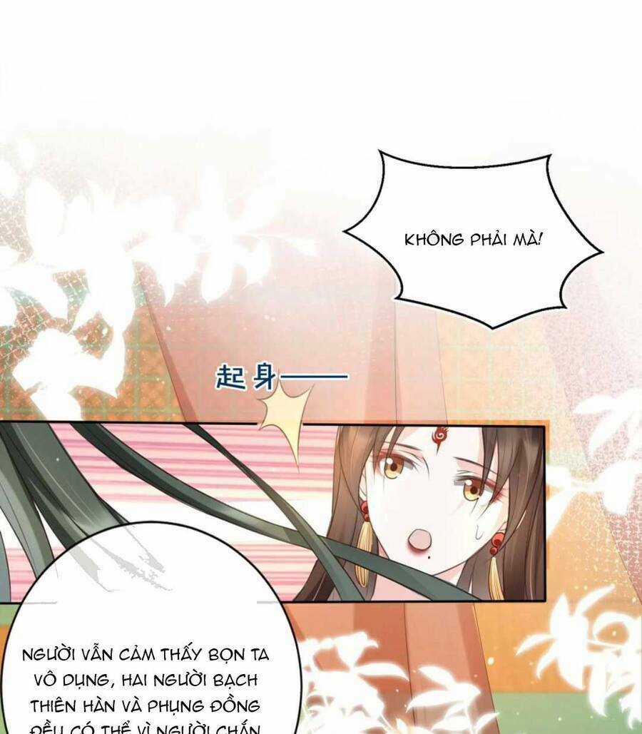 Tôi Là Đệ Nhất Hắc Nguyệt Quang Của Tu Chân Giới Chapter 19 trang 15