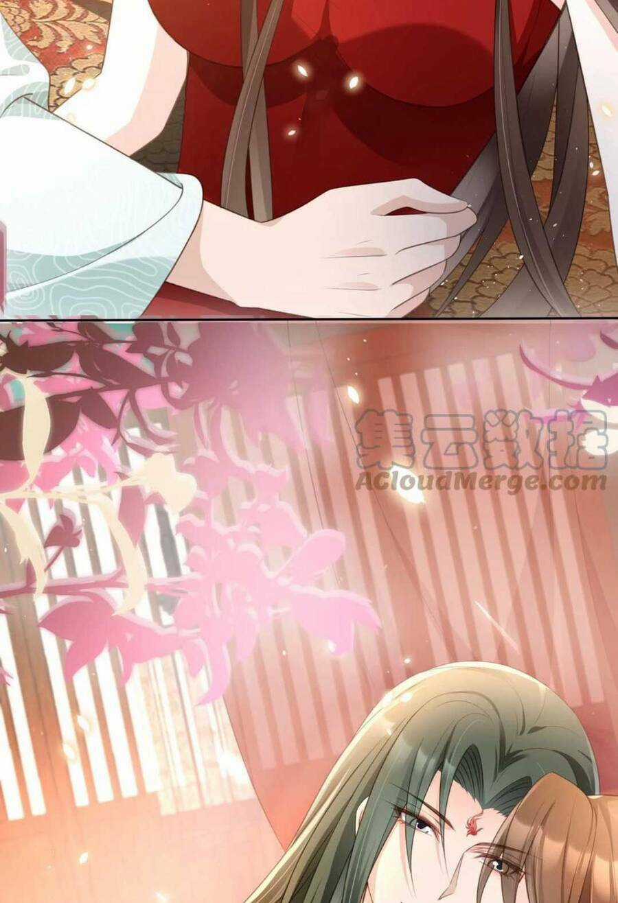 Tôi Là Đệ Nhất Hắc Nguyệt Quang Của Tu Chân Giới Chapter 19 trang 5