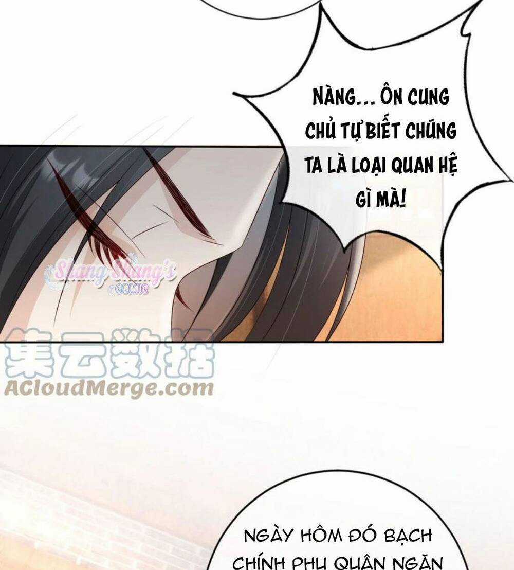 Tôi Là Đệ Nhất Hắc Nguyệt Quang Của Tu Chân Giới Chapter 23 trang 13