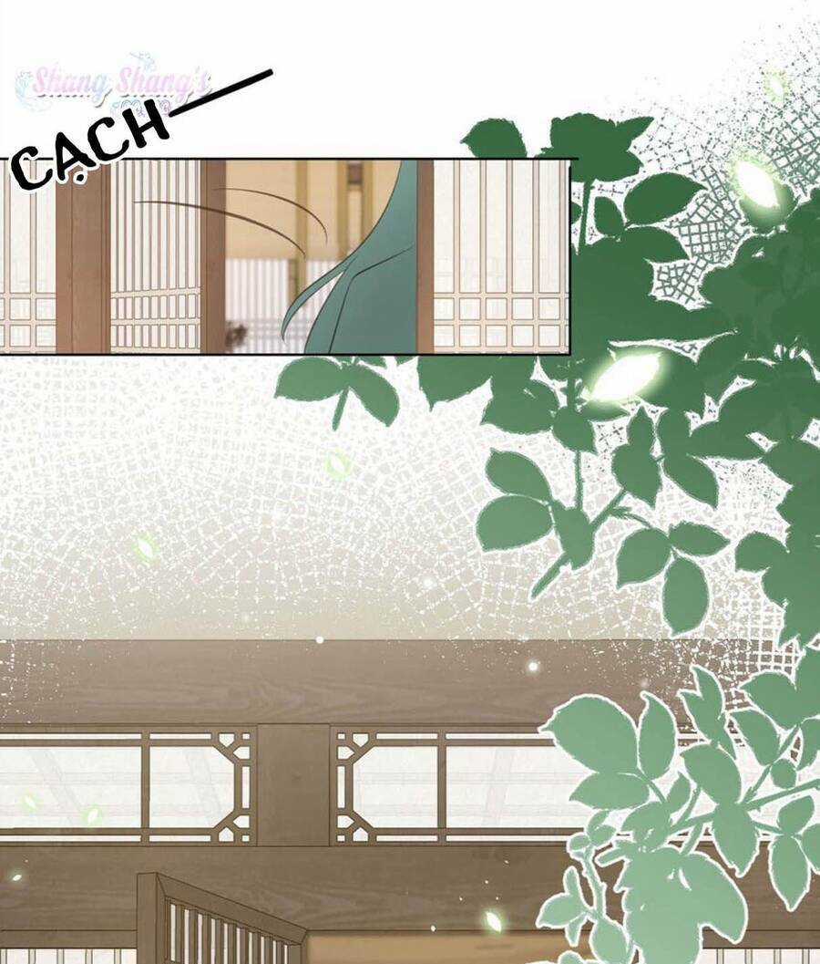 Tôi Là Đệ Nhất Hắc Nguyệt Quang Của Tu Chân Giới Chapter 3 trang 14