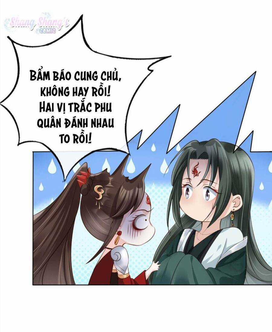 Tôi Là Đệ Nhất Hắc Nguyệt Quang Của Tu Chân Giới Chapter 3 trang 40