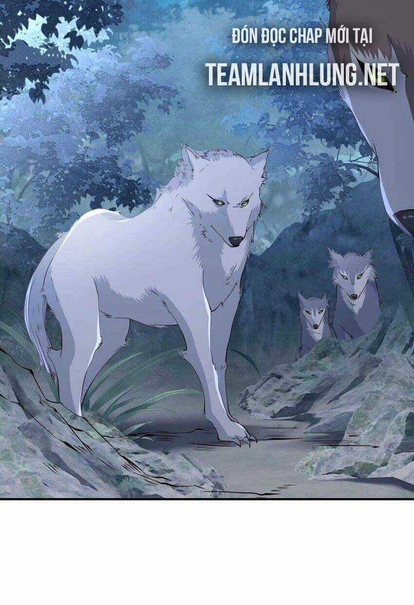 Tôi Là Đệ Nhất Hắc Nguyệt Quang Của Tu Chân Giới Chapter 30 trang 36