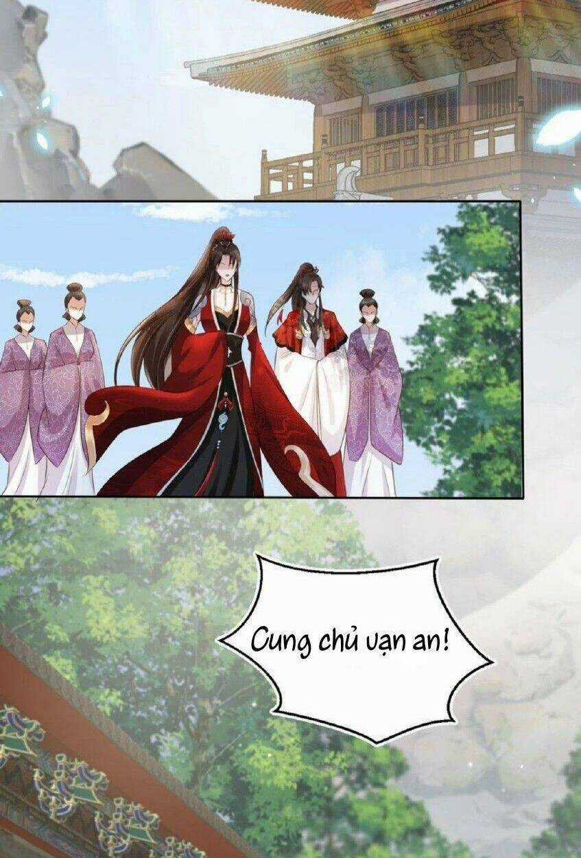 Tôi Là Đệ Nhất Hắc Nguyệt Quang Của Tu Chân Giới Chapter 4 trang 2