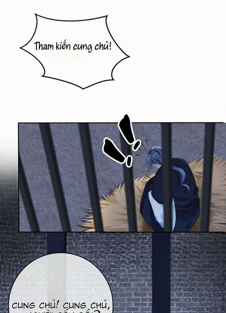 Tôi Là Đệ Nhất Hắc Nguyệt Quang Của Tu Chân Giới Chapter 4 trang 27