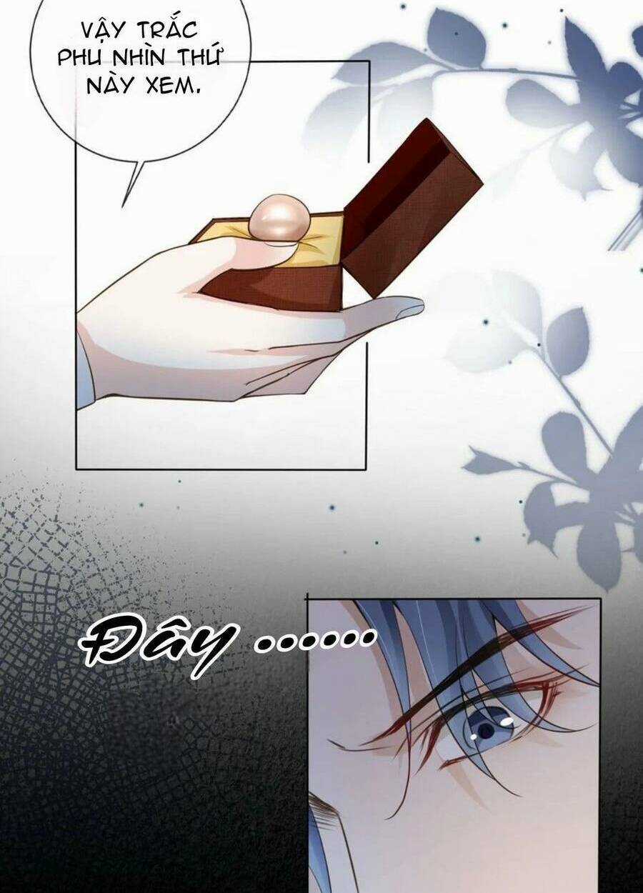 Tôi Là Đệ Nhất Hắc Nguyệt Quang Của Tu Chân Giới Chapter 4 trang 40