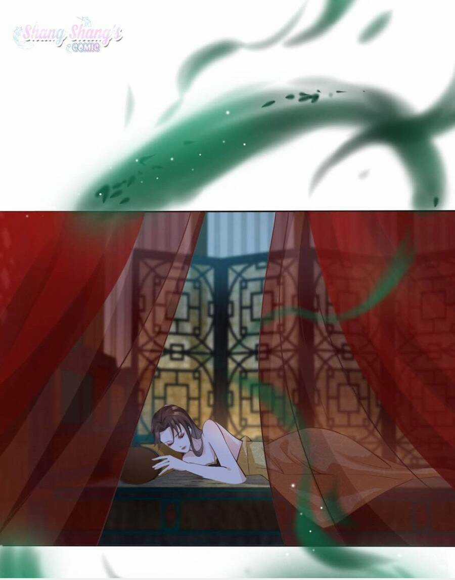 Tôi Là Đệ Nhất Hắc Nguyệt Quang Của Tu Chân Giới Chapter 5 trang 25