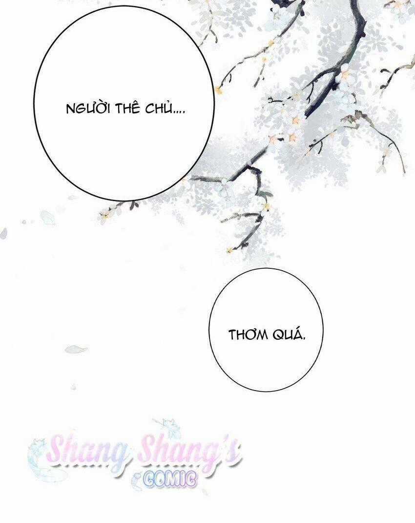 Tôi Là Đệ Nhất Hắc Nguyệt Quang Của Tu Chân Giới Chapter 6 trang 38