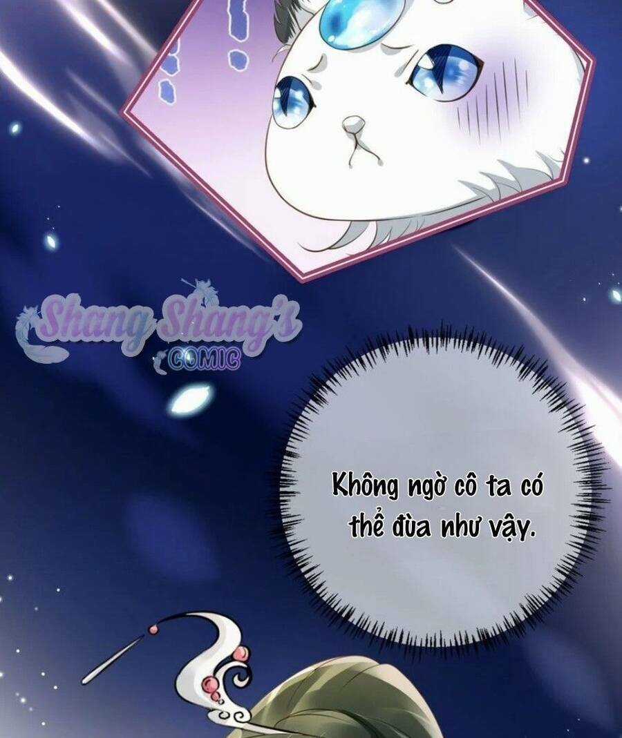 Tôi Là Đệ Nhất Hắc Nguyệt Quang Của Tu Chân Giới Chapter 8 trang 5