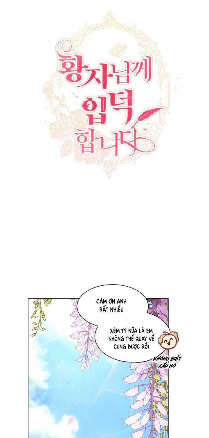 Tôi Là Fan Cứng Của Hoàng Tử Chapter 31 trang 19