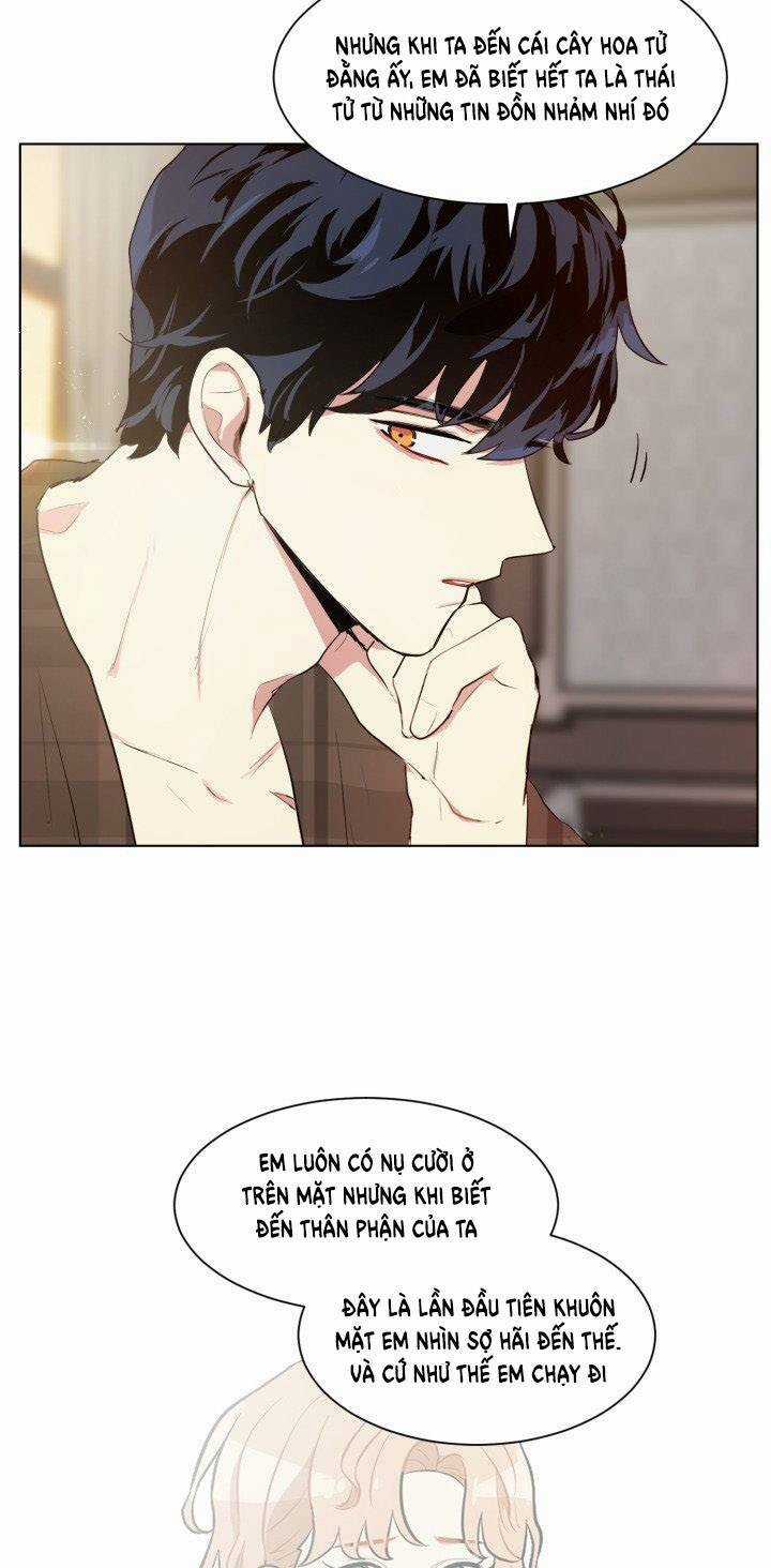 Tôi Là Fan Cứng Của Hoàng Tử Chapter 31 trang 47