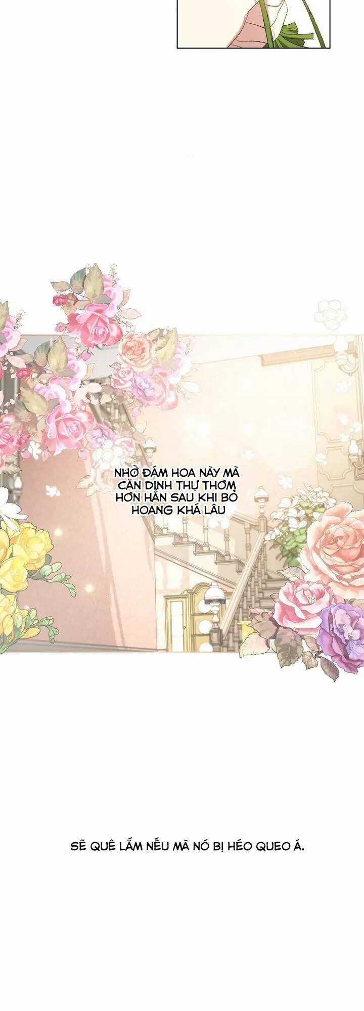 Tôi Là Fan Cứng Của Hoàng Tử Chapter 48 trang 65