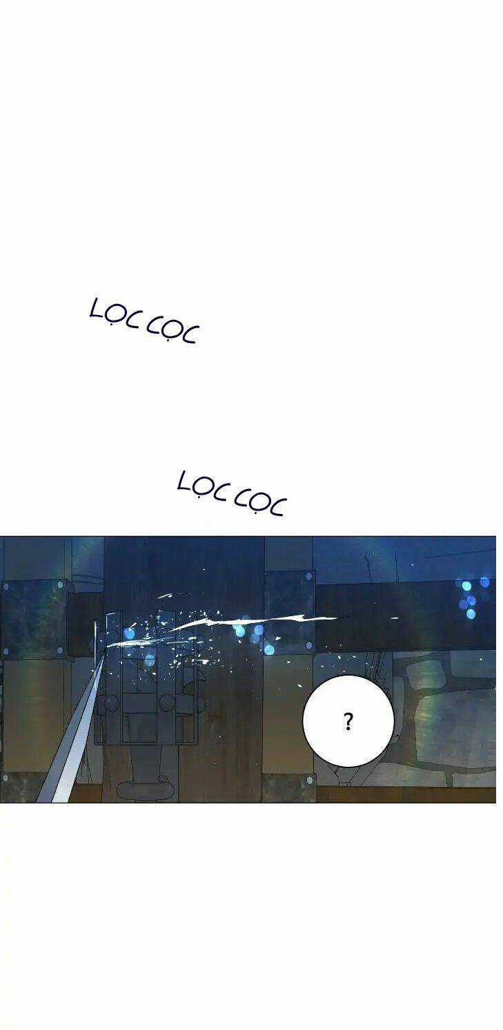Tôi Là Fan Cứng Của Hoàng Tử Chapter 56 trang 1