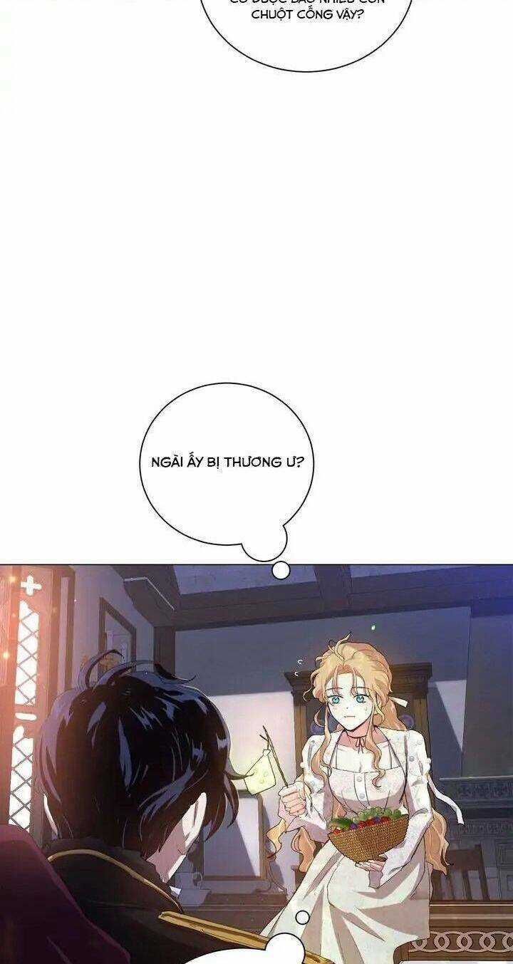 Tôi Là Fan Cứng Của Hoàng Tử Chapter 63 trang 29