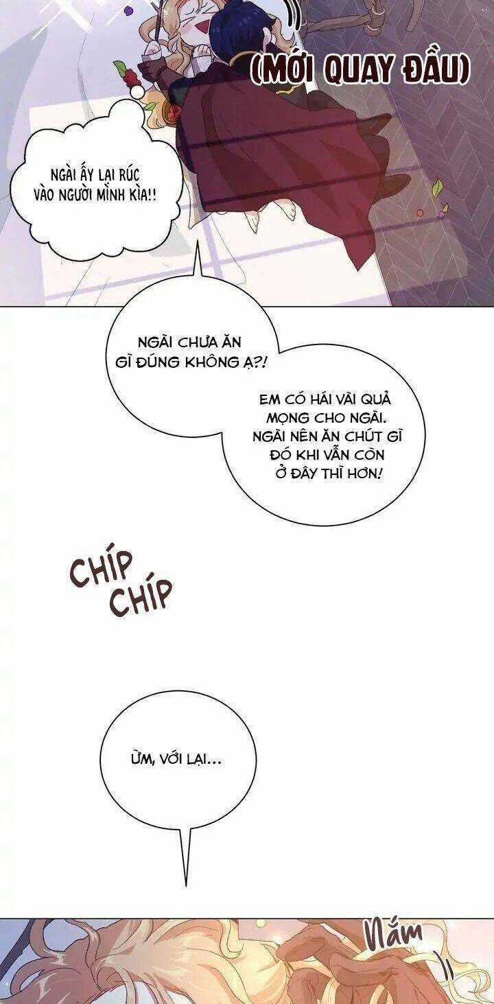 Tôi Là Fan Cứng Của Hoàng Tử Chapter 63 trang 39