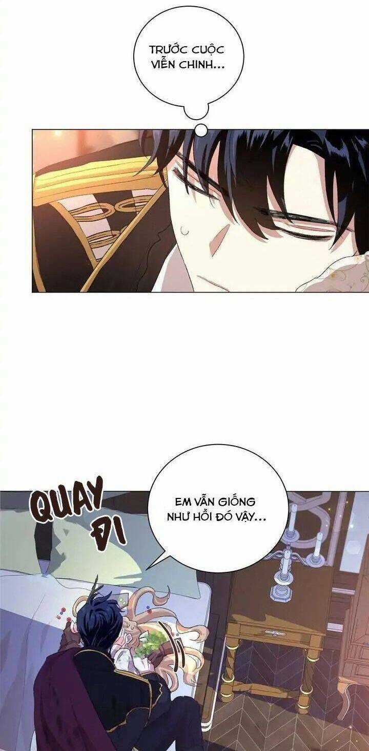 Tôi Là Fan Cứng Của Hoàng Tử Chapter 63 trang 43