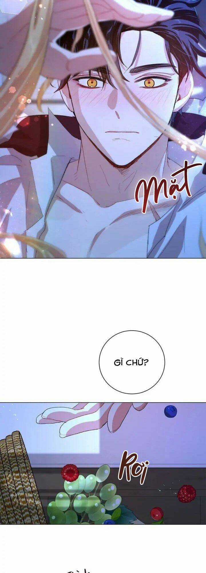 Tôi Là Fan Cứng Của Hoàng Tử Chapter 65 trang 9