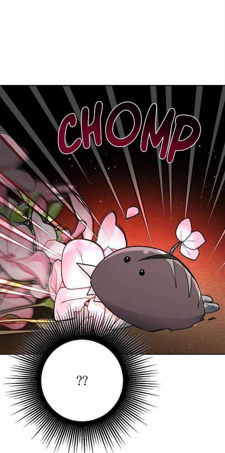 Tôi Là Fan Cứng Của Hoàng Tử Chapter 74.1 trang 12