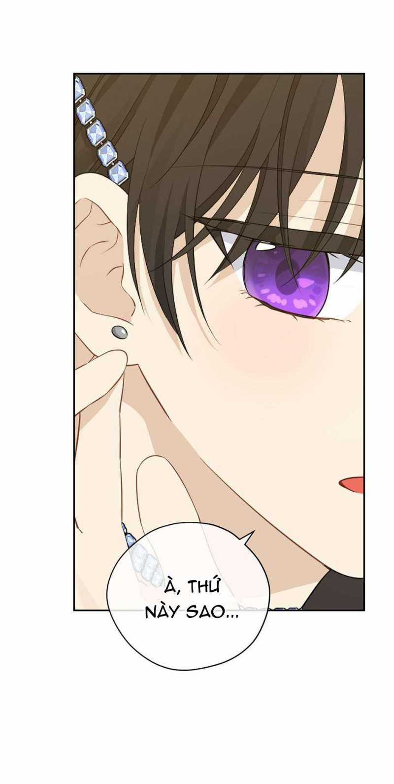 Tôi Là Minh Chứng Của Sự Thật Chapter 107 trang 28