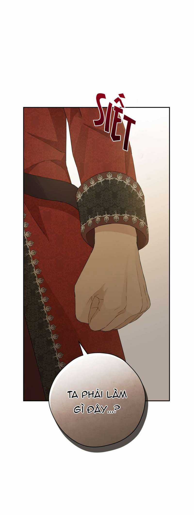 Tôi Là Minh Chứng Của Sự Thật Chapter 112 trang 46