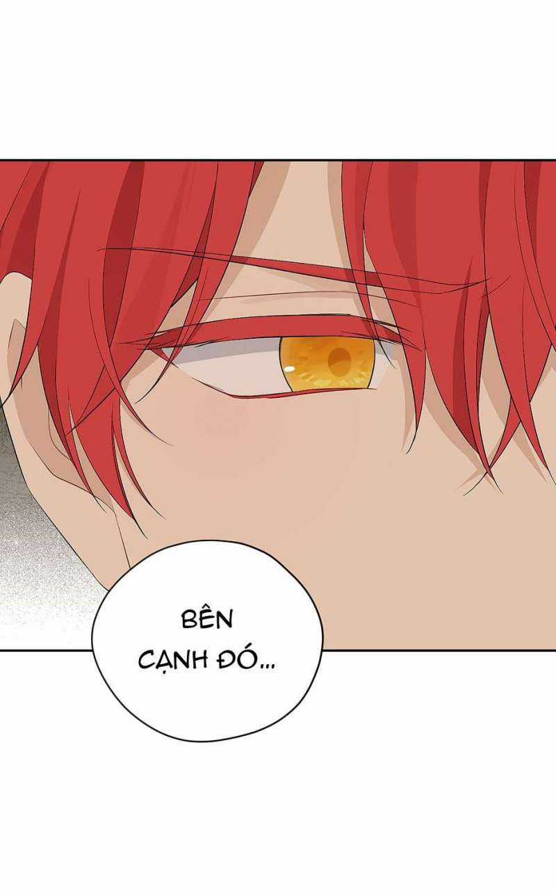 Tôi Là Minh Chứng Của Sự Thật Chapter 114 trang 41