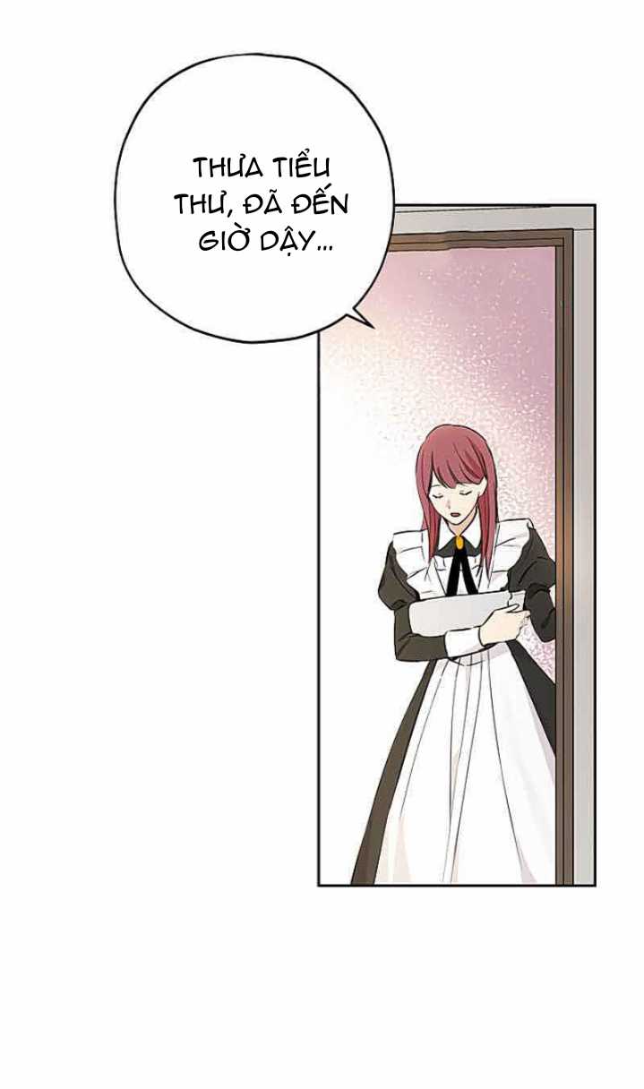 Tôi Là Minh Chứng Của Sự Thật Chapter 12 trang 5